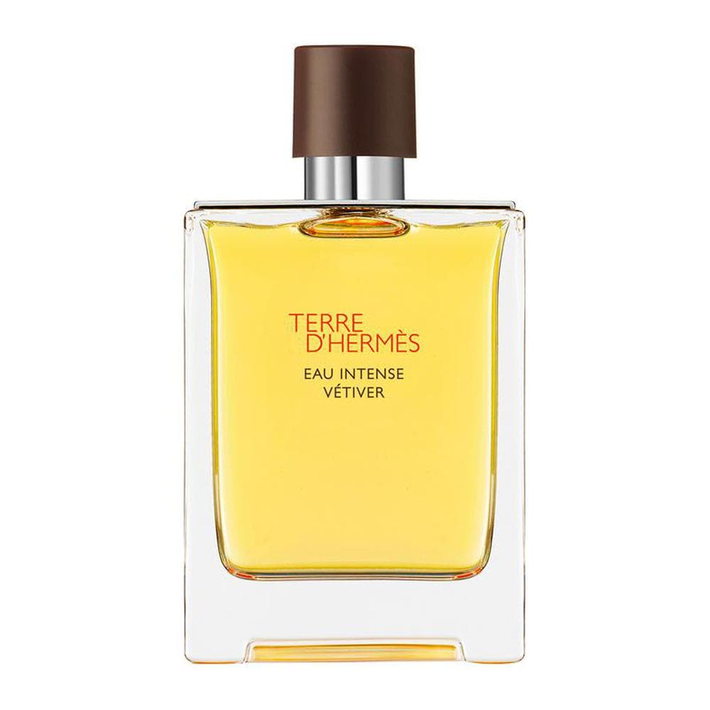 Hermes Terre Vetiver Int Epv 100ml (Hermès)